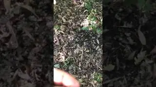 Неожиданная Находка 