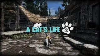 A Cat's Life 2.0 Reveal