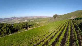 Fairview Wine - Drone view of estate & farm