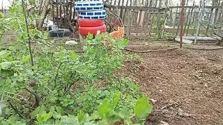 хорошо, что праздников не 10. упахаться можно