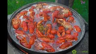Как правильно варить раков!