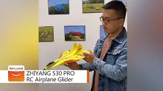 ZHIYANG 530 PRO FPV RTF RC Airplane Glider - Shop on Banggood