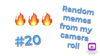 Random Memes From My Camera Roll #20