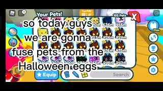fusing pets from the Halloween eggs