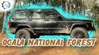 Off-Road Camping in Ocala National Forest Florida