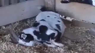 гости первого января
