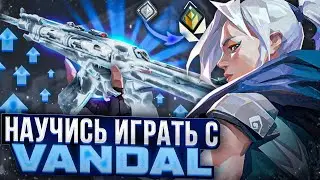 НАУЧИСЬ ПРАВИЛЬНО ИГРАТЬ С VANDAL | #valorant