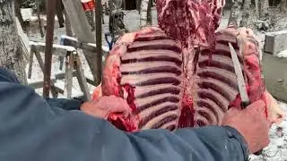 Big buck cleaned