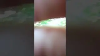велодорожка