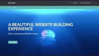 Baton Pro WordPress theme Homepage Crash Course