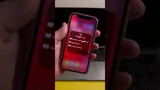 How To Connect iPhone To Your TV!