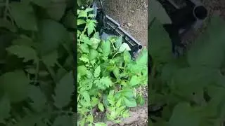 Гуьмсехь б1аьсте☕️ЧР…