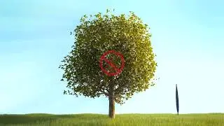 4Tree is an innovative plant growth enhancer for all types of plants.