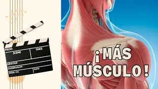 Cómo ganar masa muscular