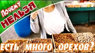 ➤Это ДОЛЖЕН Знать КАЖДЫЙ!!! ➤ Вред Орехов ➤ Почему нельзя есть много орехов ➤ ЗОЖ ➤