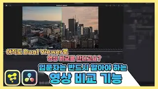 [다빈치리졸브 & Fusion Studio] 아직도 Dual Viewer로 영상을 비교하세요? 이렇게 비교하면 쉬워요~😊 입문자는 반드시 알아야 하는 영상 비교 쉽게 하는 기능!!