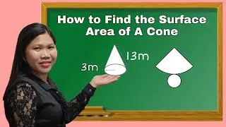 How to Find the Surface Area of a Cone
