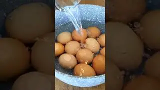 ЭТИ ЯИЧКИ СВЕДУТ ВАС С УМА!🔥😱