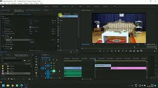How to use Motion and Opacity Panel in Premiere Pro