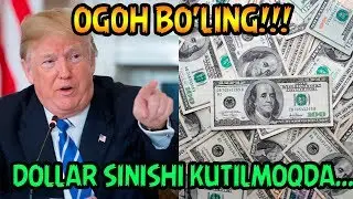 ДОЛЛАР СИНИШИ КУТИЛМОҚДА | DOLLAR SINISHI KUTILMOQDA