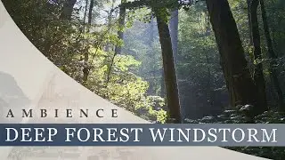 Deep Forest Windstorm - Strong Wind, Birds, Forest Wildlife