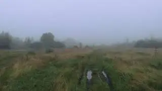 Про туман