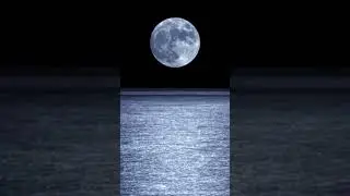 Moon on beach at night   nature short video