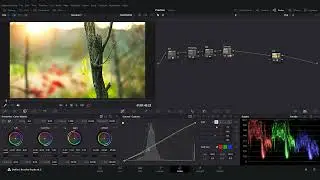 Nature Footage Color Grading In Davinci Resolve 18