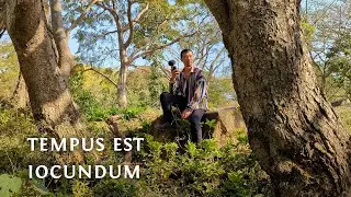 Carmina Burana Number 22 - Tempus est iocundum - Song in latin.