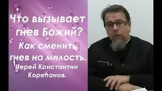 Что вызывает гнев Божий? Как сменить гнев на милость? Иерей Константин Корепанов.