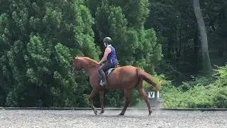 Mondeuse Dressage Lesson 05292024