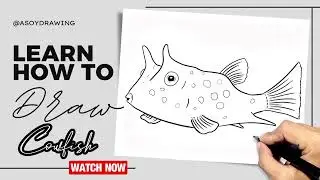 How to Draw Cowfish - Easy Drawing