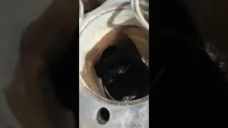 МТЗ блок ДВС неисправен