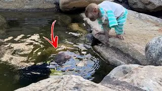 Humorous ! Yin Yin is helpless as YiYi hides under the water