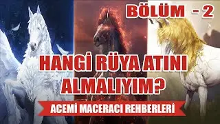 Acemi Maceracı Rehberi | Bölüm 2 : Vipiko'nun Rüya Gören Tahta Atı
