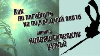 КАК НЕ ПОГИБНУТЬ НА ПОДВОДНОЙ ОХОТЕ серия 5 РУЖЬЕ ПНЕВМАТИЧЕСКОЕ