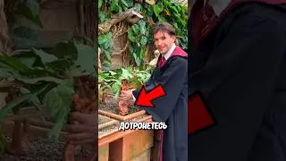 Плачущее Растение! 🤯