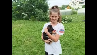 Вероника День рождения