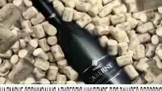 Рекламный ролик вина 'Коблево'   'Пробки'