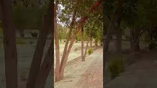 #foryou #nature #dailyvlog #beautiful #follow