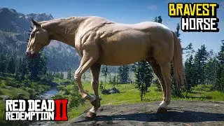 Top 4 BRAVEST Horse You Must OWN (Location & Rankings) - RDR 2