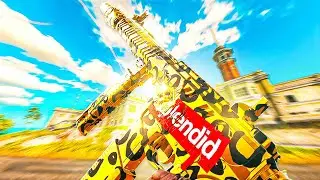 25 Minutes of PERFECT Rebirth Island 👑 (No Commentary)