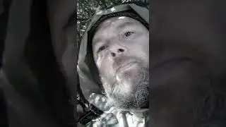 Мухоморы. Собираю потихоху.