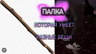 ПАЛКА КОТОРАЯ УМЕЕТ ДЕЛАТЬ… (в этом видео)