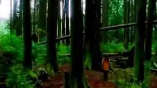 Delyno ft LooLoo  - Private Love Kopyası