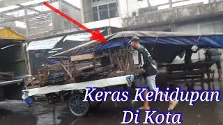 Keras Kehidupan Di Kota