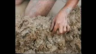 Добыча поденки и пойманный на нее лещ на Дону