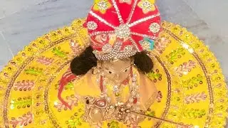 laddu gopal #short#laddugopal #radhakrishna#harekrishna#vrindavan#radheradhe#radha#krishna#barshana