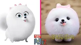 The Secret Life of Pets 2 Characters In Real Life 👉