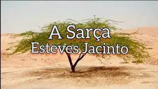 A Sarça _ Esteves Jacinto (legendado)